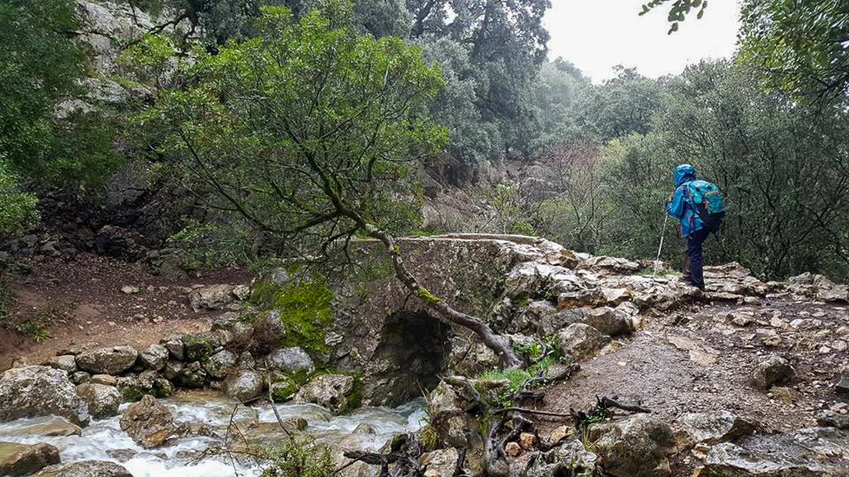 App Comparte tus Cumbres
